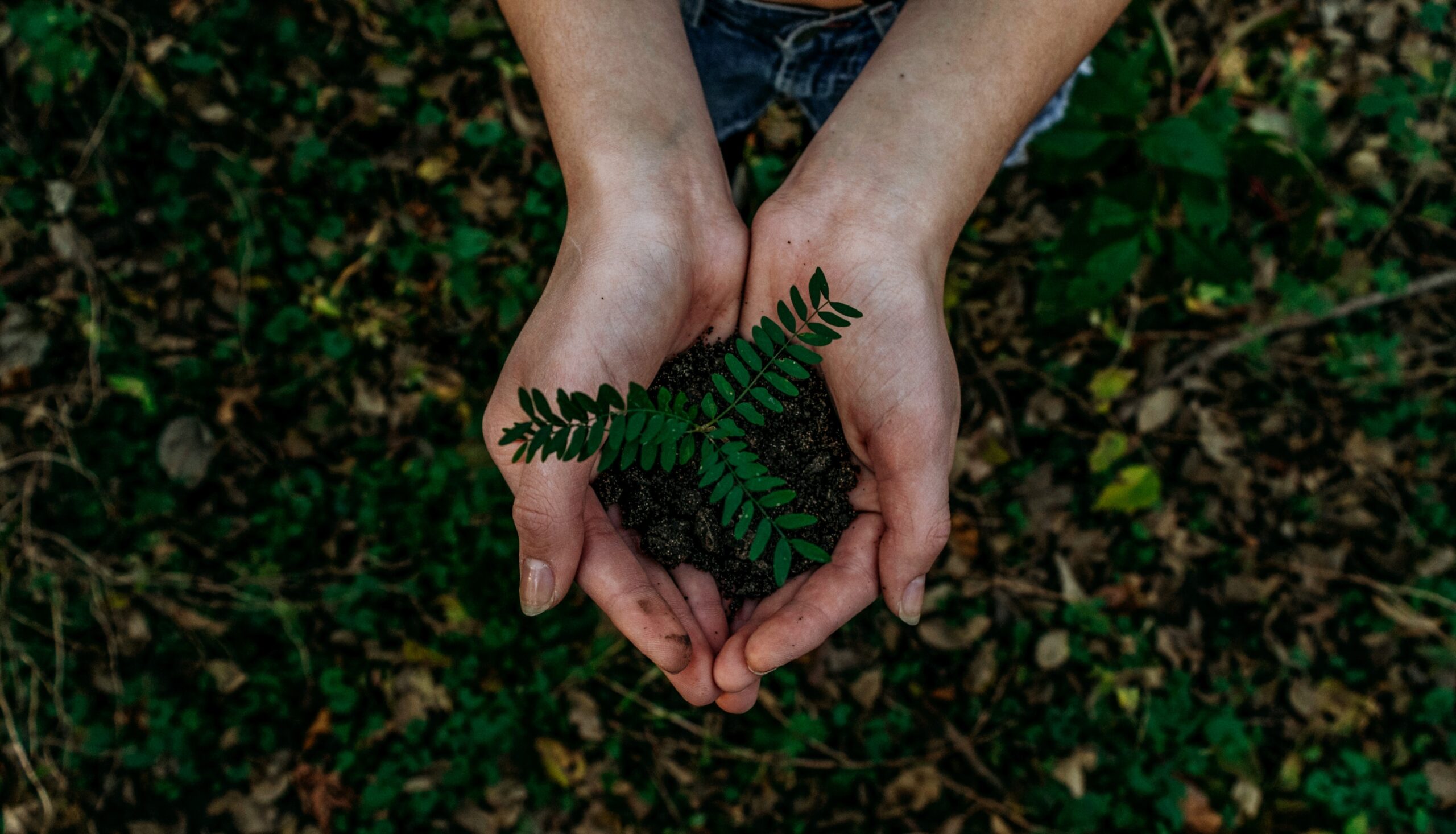 Environmental Business Name Generator