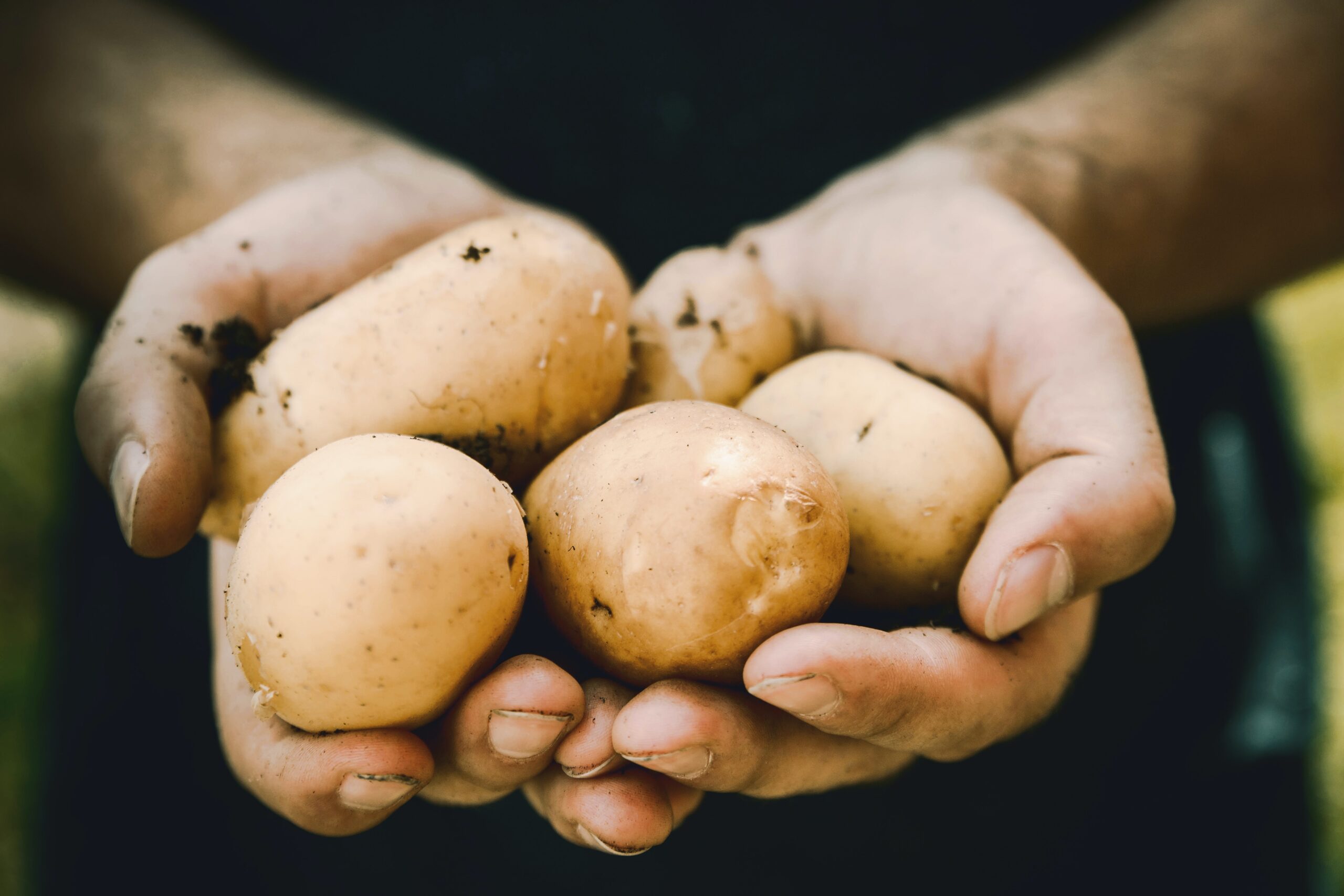 Potato Business Name Generator