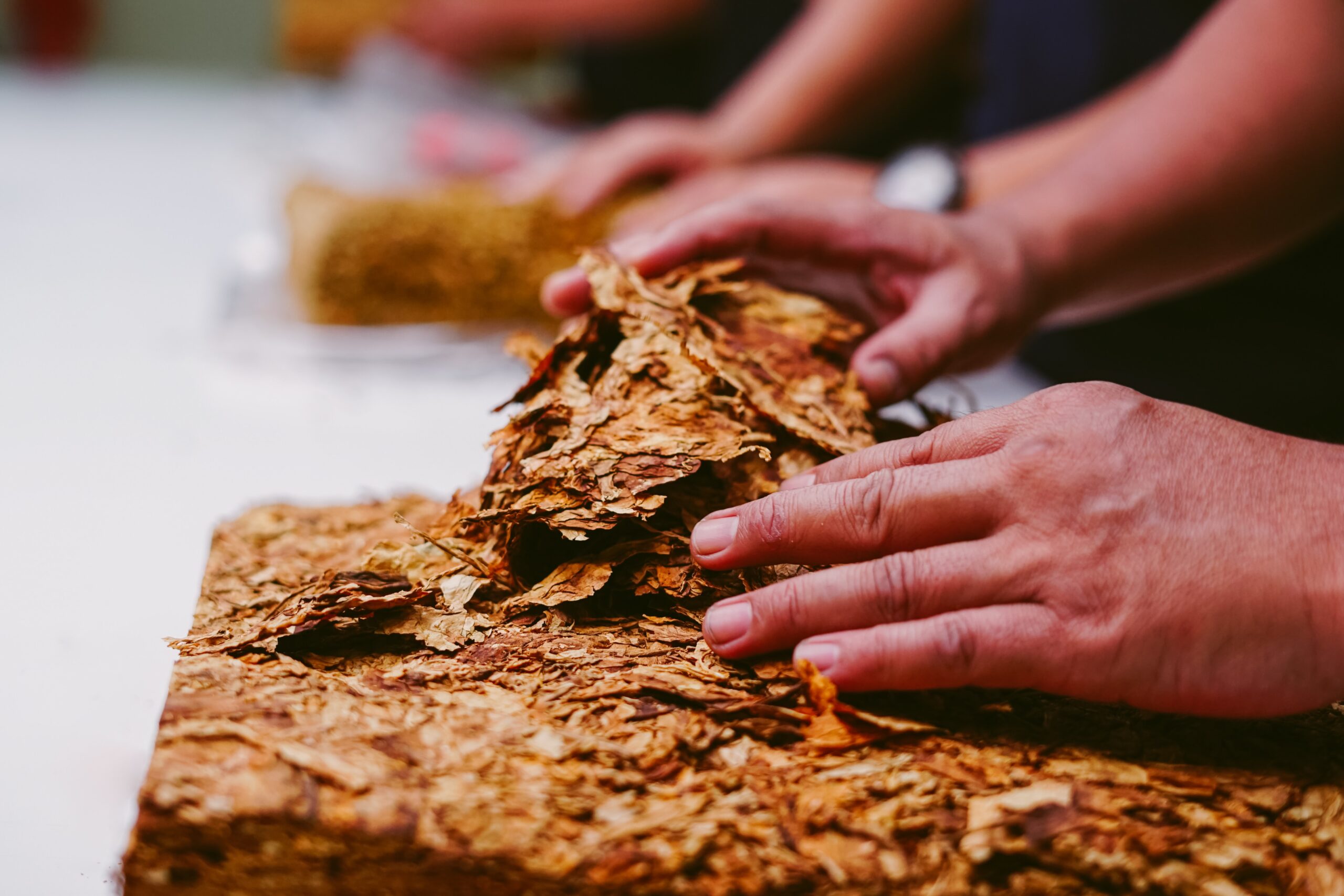 Tobacco Business Name Generator