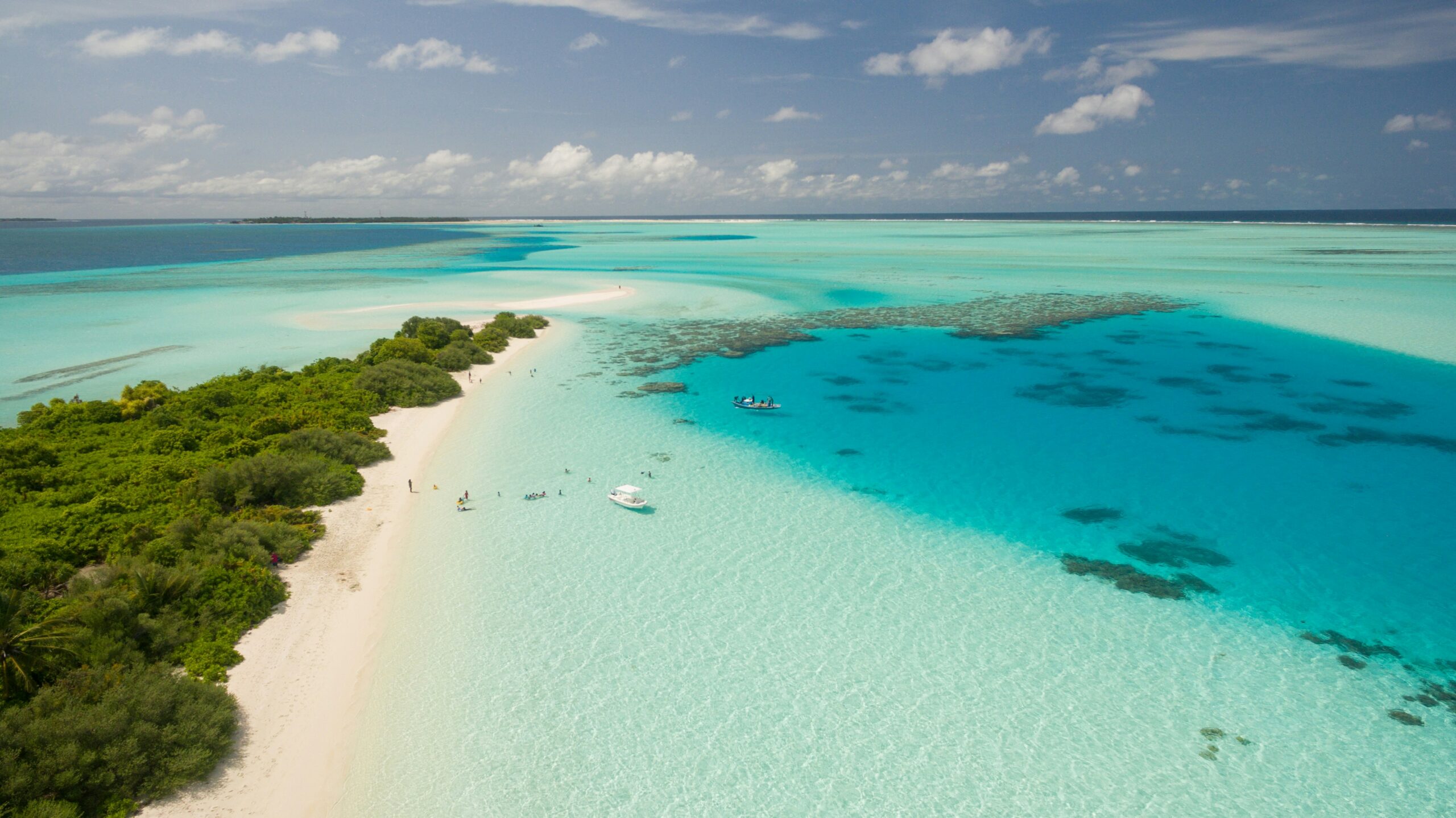 Travel Agency Name Generator Name Ideas 2025 